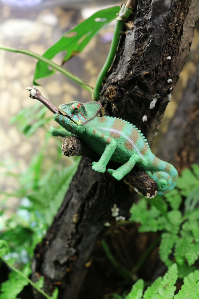Bild på leksakskameleont i träd